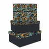 Lastva Dėžutės TROPICAL 3vnt mėlynos 295X220X110 260X190X105 230X160X100mm
