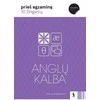 KNYGA Šviesa Anglų kalbos veiksmažodžiai (s. „10 žingsnių“)