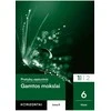 KNYGA Šviesa Gamtos mokslai. Pratybų sąsiuvinis 6 klasei, 1 dalis, serija Horizontai