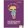 KNYGA Šviesa Matematikos vingrybės 2 klasei