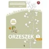 KNYGA Šviesa ORZESZEK. Pierwszy zeszyt ćwiczeń su matematyki dla klasy 1 (Atnaujintas leidimas)