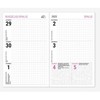 Timer Stilingas jaunuolio kalendorius System, 11x17,7 cm