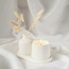 Lukata Kūgio formos kokosų vaško žvakė, aromatinė žvakė, rankų darbo gipso indelyje