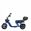 Dayi Motor Elektrinis motoroleris E-baldur A9 OFFROAD EEC