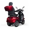 Vigorous Elektrinis triratis motoroleris MS03 Pro Comfort 2 EEC (Nemokamas pristatymas)