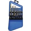 Grąžtas Bgs Technic Užlūžusių varžtų išsukėjų ir kairinių grąžtų rinkinys | HSS | titano nitridas | 2 - 7.5 mm | 10 vnt. (6780)