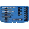 Bgs Technic Varžtų išsukėjų rinkinys HSS | 25 vnt. (8462)