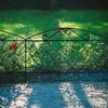 Aizsargbarjera Garden Center, 60 cm x 0.5 cm x 43 cm, melna krās.