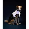 Ami Play Amiplay JACKET FOR DOGS FLUO Juodas. Baltas 30