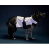 Ami Play Amiplay JACKET FOR DOGS FLUO Juodas. Baltas 50