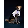 Ami Play Amiplay JACKET FOR DOGS FLUO Juodas. Baltas 25