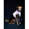 Ami Play Amiplay JACKET FOR DOGS FLUO Juodas. Baltas 25