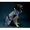 Ami Play Amiplay JACKET FOR DOGS PETROL Pilkas 40