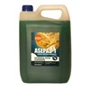 Bio Actiw antiseptinis ASEPAS-1 5L (RETROREGA)