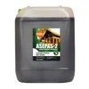 Bio Actiw ANTISEPTIC ASEPAS-2 10L (RETROREGA)