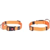 Flamingo DOG COLLAR ZIGGI Oranžinis 30-45CM 15MM