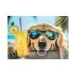 Panta_Plast Aplankas Panta Plast A4 CHILLOUT DOG