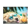 Panta_Plast Aplankas Panta Plast A4 CHILLOUT DOG