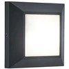 Šviestuvas Lutec HELENA 6402101118, 4W, LED, IP54, antracito