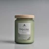 Artflow Aromatinė žvakė CUCUMBER &amp; CASABA 580g Alyvuogių žalia