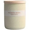 Artflow Aromatinė žvakė JASMINE &amp; WOOD 230g, 35h