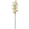 Artflow Dirbtinė orchidėja 76 cm, balta