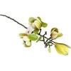 Artflow Dirbtinė magnolija 68 cm, balta