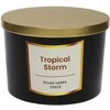 Artflow Sojų vaško žvakė 400g, Tropinė audra