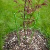 Augalų atrama Garden Center, 45 cm, plastikinė