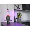 Lemputė Osram LED, E27, 10 W, 330 lm