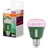 Lemputė Osram LED, E27, 10 W, 330 lm