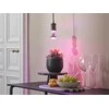 Augalų auginimo lemputė Osram LED, R63, 1300 °K, E27, 7.5 W, 140 lm