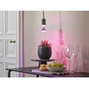 Augalų auginimo lemputė Osram LED, R63, 1300 °K, E27, 7.5 W, 140 lm