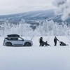 Automobilio stogo bagažinė Thule Motion 3 L, titano