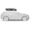 Automobilio stogo bagažinė Thule Motion 3 L, titano