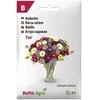 „Baltic Agro“ astrų sėklos „Aster Fan“, 6 g