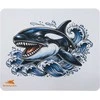 Baracuda BGMP-071 Orca 300x250