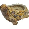 Besk DIANA Sodo dekoracija/vazonas Tortoise 23x17x13cm