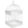 Besk Dekoratyvinis narvelis 23x23x43cm Antikinis baltas