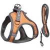 Besk Krūtinės diržas šunims, M dydis, 48-55 cm, oranžinis