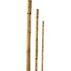 Besk Stulpelis Bambukinis 240cm Ruda