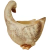 Besk Sodo dekoracija Antis su vazonu 29x20x30cm