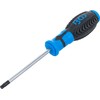 Grąžtas BGS „Torx“ atsuktuvas su kiauryme, T30 dydis, 100 mm ašmenų ilgis