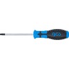 Grąžtas BGS „Torx“ atsuktuvas su kiauryme, T30 dydis, 100 mm ašmenų ilgis
