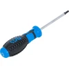 Grąžtas Bgs Technic Atsuktuvas | T-Star (Torx) T25 (4920)