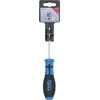 Grąžtas Bgs Technic Atsuktuvas | T-Star (Torx) T6 | Ašmenų ilgis 80 mm (4913)