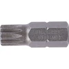 Grąžtas Bgs Technic Antgalis | ilgis 30 mm | 10 mm (3/8") storis | Spline (XZN) | M10 (4853)