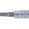 Grąžtas Bgs Technic Antgalis įpresuotas į galvutę | 6.3 mm (1/4") | T-Star (Torx) T30 (2595)
