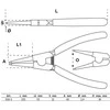 BGS Išorinės žiedinės replės - 225 mm