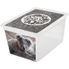 Branq Laikymo dėžė X box deco koala 30L Skaidri